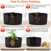 Plant Grow Bags 3 Pack Planter Bags Breathable Planting Fabric Pots 15 Gal Potato Vegetable