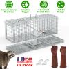 Humane Trap Cage Catch Release Live Animal Rodent Cage Collapsible Galvanized Wire with Gloves Cats Raccoons Beavers Groundhogs Foxes Armadillos