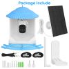 Solar Powered Bird Feeder 2K Bird Watching Camera With Pir Motion Ai Birds Species Identify Two-Way Audio Real-Time App Notification Capture Video