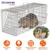Humane Live Animal Catch Release Cage Collapsible Galvanized Wire For Cats Rodents Raccoons Beavers Groundhogs Foxes Armadillos