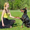 Dog Training Collar Ip65 984Ft Waterproof Pet Beep Vibration Electric Shock Collar 3 Channels Rechargeable Transmitter Receiver Trainer With Recording