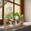 Plant Terrarium Propagation Station With 3 Heart Shaped Vases Wooden Stand Desktop Air Planter Bulb Glass Vase For Hydroponics Home Office Decor