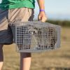 Humane Trap Cage Catch Release Live Animal Rodent Cage Collapsible Galvanized Wire with Gloves Cats Raccoons Beavers Groundhogs Foxes Armadillos