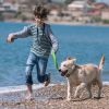 Waterproof Electric Dog Training Collar Rechargeable Ipx7 Receiver Beep Vibration Shock For Small Medium Large Dogs