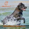 Dog Training Collar Ip65 984Ft Waterproof Pet Beep Vibration Electric Shock Collar 3 Channels Rechargeable Transmitter Receiver Trainer With Recording