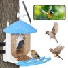 Solar Powered Bird Feeder 2K Bird Watching Camera With Pir Motion Ai Birds Species Identify Two-Way Audio Real-Time App Notification Capture Video