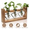 Plant Terrarium Propagation Station With 3 Heart Shaped Vases Wooden Stand Desktop Air Planter Bulb Glass Vase For Hydroponics Home Office Decor