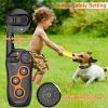 Waterproof Electric Dog Training Collar Rechargeable Ipx7 Receiver Beep Vibration Shock For Small Medium Large Dogs