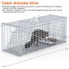 Live Animal Trap Cage 37X14X15In Folding Catch And Release Humane Cat Trap Galvanized Iron For Raccoons Foxes Coyotes Stray Dogs Armadillos Squirrels
