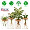 Glass Propagation Stations Indoor Glass Planters Hydroponic Plant Vases 2 Large 2 Small For Plant Cuttings Flower Arrangements
