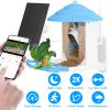 Solar Powered Bird Feeder 2K Bird Watching Camera With Pir Motion Ai Birds Species Identify Two-Way Audio Real-Time App Notification Capture Video