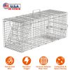 Humane Live Animal Catch Release Cage Collapsible Galvanized Wire For Cats Rodents Raccoons Beavers Groundhogs Foxes Armadillos