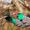 Cordless Rechargeable Pruning Shears 21V 40mm 1.57 in Tree Branch Cutter With 2 Batteries Sharpening Stone Garden Backyard Hedge