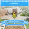 Solar Powered Bird Feeder 2K Bird Watching Camera With Pir Motion Ai Birds Species Identify Two-Way Audio Real-Time App Notification Capture Video