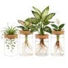 Glass Propagation Stations Indoor Glass Planters Hydroponic Plant Vases 2 Large 2 Small For Plant Cuttings Flower Arrangements