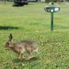 Solar Ultrasonic Animal Repeller Pir Sensor Animal Repellent Chaser With Flashing Light Ipx4 Waterproof For Chasing Deer Raccoon Squirrel Rat Skunk
