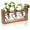 Plant Terrarium Propagation Station With 3 Heart Shaped Vases Wooden Stand Desktop Air Planter Bulb Glass Vase For Hydroponics Home Office Decor