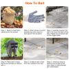 Humane Live Animal Catch Release Cage Collapsible Galvanized Wire For Cats Rodents Raccoons Beavers Groundhogs Foxes Armadillos