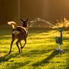 Solar Powered Motion Sensor Animal Repellent Sprinkler With Flashing Light Outdoor Animal Deterrent For Cats Dogs Squirrels Birds Raccons Deer