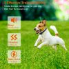 Waterproof Pet Beep Vibration Electric Shock Collar 3280Ft 3 Channels Rechargeable Transmitter Receiver Trainer With Flashing light