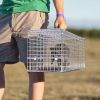Live Humane Animal Heavy Duty Folding Catch & Release Trap 25.59In Rodent Cage Rabbit Squirrel Possum Skunk Kitten Raccoon ETC.