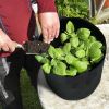 Plant Grow Bags 3 Pack Planter Bags Breathable Planting Fabric Pots 15 Gal Potato Vegetable