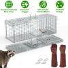 Humane Trap Cage Catch Release Live Animal Rodent Cage Collapsible Galvanized Wire with Gloves Cats Raccoons Beavers Groundhogs Foxes Armadillos