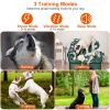 Waterproof Electric Dog Training Collar Rechargeable Ipx7 Receiver Beep Vibration Shock For Small Medium Large Dogs