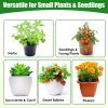28.94" X 21.46" X 27.76" Tabletop Mini Greenhouse Portable Greenhouse For Spring Indoor Outdoor Garden Tent For Seed Starting Plant Protection Gardeni