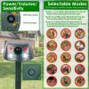 Ultrasonic Solar Animal Repeller Outdoor Mole Snake Squirrel Repellent Waterproof Bird Deer Dog Cat Deterrent With 3 Modes Motion Sensor Vibration Sta