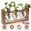 Plant Terrarium Propagation Station With 3 Heart Shaped Vases Wooden Stand Desktop Air Planter Bulb Glass Vase For Hydroponics Home Office Decor