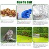 Live Animal Trap Cage 27X7.5X8In Folding Catch And Release Steel Humane Cat Trap For Racoons Stray Cats Rabbits Beavers Hedgehogs Chipmunk Small Anima