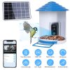 Smart Bird Feeder With Solar Powered Camera 1080P Hd Ai Identify Pir Motion Auto Capture Video Cloud Card Storage Wifi Connection App Control Ip65