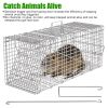 Humane Trap Cage With Waterproof Cover Gloves Catch Release Live Animal Rodent Cage Collapsible Galvanized Wire For Raccoons Beavers Groundhogs