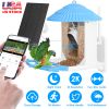 Solar Powered Bird Feeder 2K Bird Watching Camera With Pir Motion Ai Birds Species Identify Two-Way Audio Real-Time App Notification Capture Video