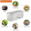 Humane Live Animal Catch Release Cage Collapsible Galvanized Wire For Cats Rodents Raccoons Beavers Groundhogs Foxes Armadillos