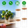 Glass Propagation Stations Indoor Glass Planters Hydroponic Plant Vases 2 Large 2 Small For Plant Cuttings Flower Arrangements
