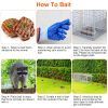 Live Animal Trap Cage 37X14X15In Folding Catch And Release Humane Cat Trap Galvanized Iron For Raccoons Foxes Coyotes Stray Dogs Armadillos Squirrels