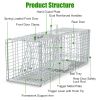 Humane Trap Cage Catch Release Live Animal Rodent Cage Collapsible Galvanized Wire with Gloves Cats Raccoons Beavers Groundhogs Foxes Armadillos