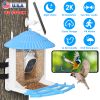 Solar Powered Bird Feeder 2K Bird Watching Camera With Pir Motion Ai Birds Species Identify Two-Way Audio Real-Time App Notification Capture Video