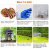 Live Humane Animal Heavy Duty Folding Catch & Release Trap 25.59In Rodent Cage Rabbit Squirrel Possum Skunk Kitten Raccoon ETC.