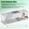 Live Animal Trap Cage 27X7.5X8In Folding Catch And Release Steel Humane Cat Trap For Racoons Stray Cats Rabbits Beavers Hedgehogs Chipmunk Small Anima