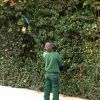 2-In-1 Electric Shear with Extension Pole 21V 4.0Ah Cordless Pruner 13Ft High Tree Trimming Pruning ETC.