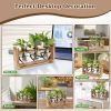 Plant Terrarium Propagation Station With 3 Heart Shaped Vases Wooden Stand Desktop Air Planter Bulb Glass Vase For Hydroponics Home Office Decor