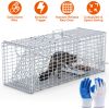 Live Animal Trap Cage 37X14X15In Folding Catch And Release Humane Cat Trap Galvanized Iron For Raccoons Foxes Coyotes Stray Dogs Armadillos Squirrels