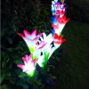 Solar Outdoor Lily Flower Led Light 7-Color Changing Lights 2Pcs Ip65 Waterproof Pathway Stake Lights Patio Decorative Garden Patio