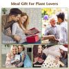 Plant Terrarium Propagation Station With 3 Heart Shaped Vases Wooden Stand Desktop Air Planter Bulb Glass Vase For Hydroponics Home Office Decor