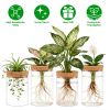 Glass Propagation Stations Indoor Glass Planters Hydroponic Plant Vases 2 Large 2 Small For Plant Cuttings Flower Arrangements