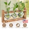 Plant Terrarium Propagation Station With 3 Heart Shaped Vases Wooden Stand Desktop Air Planter Bulb Glass Vase For Hydroponics Home Office Decor