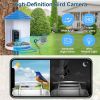 Smart Bird Feeder With Solar Powered Camera 1080P Hd Ai Identify Pir Motion Auto Capture Video Cloud Card Storage Wifi Connection App Control Ip65